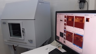 Atomic force microscopy Bruker Icon Dimension